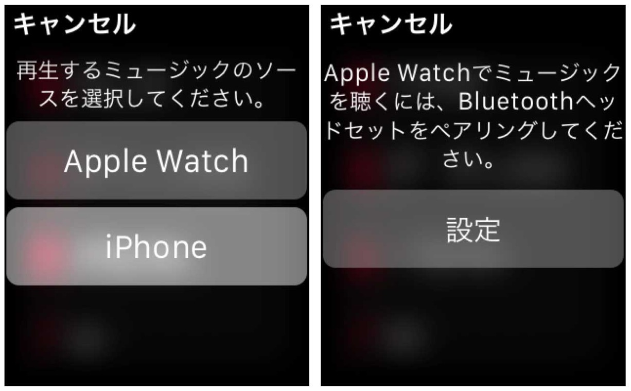 Applewatchmusic 06