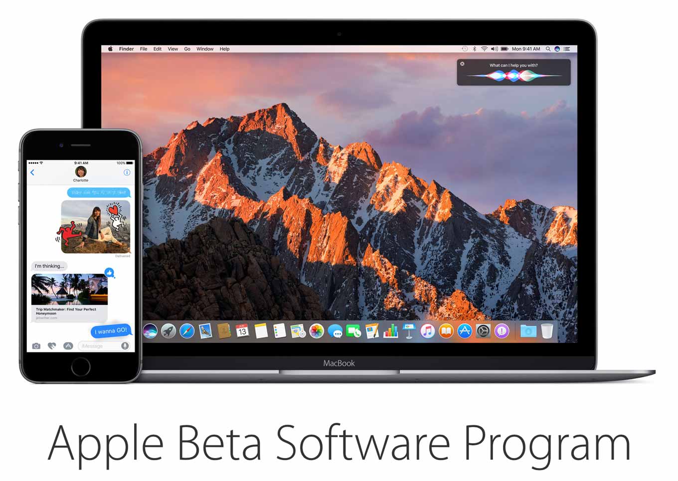 applebetasoftwareprogram.jpg Applebetasoftwareprogram